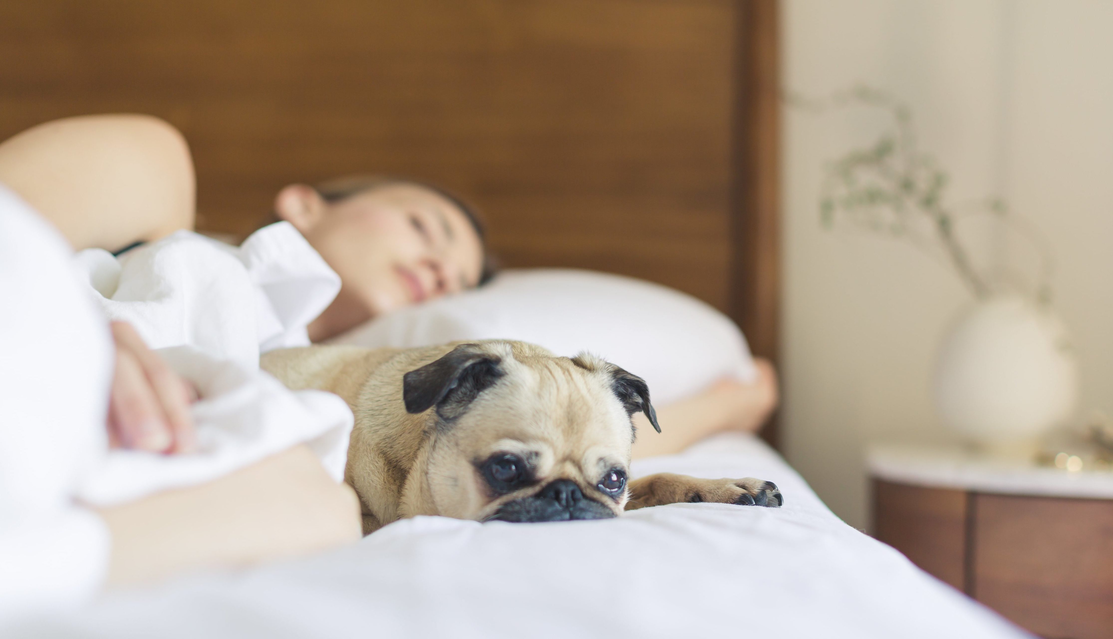 10 Tips To Help You Sleep If You Feel Tired All The Time