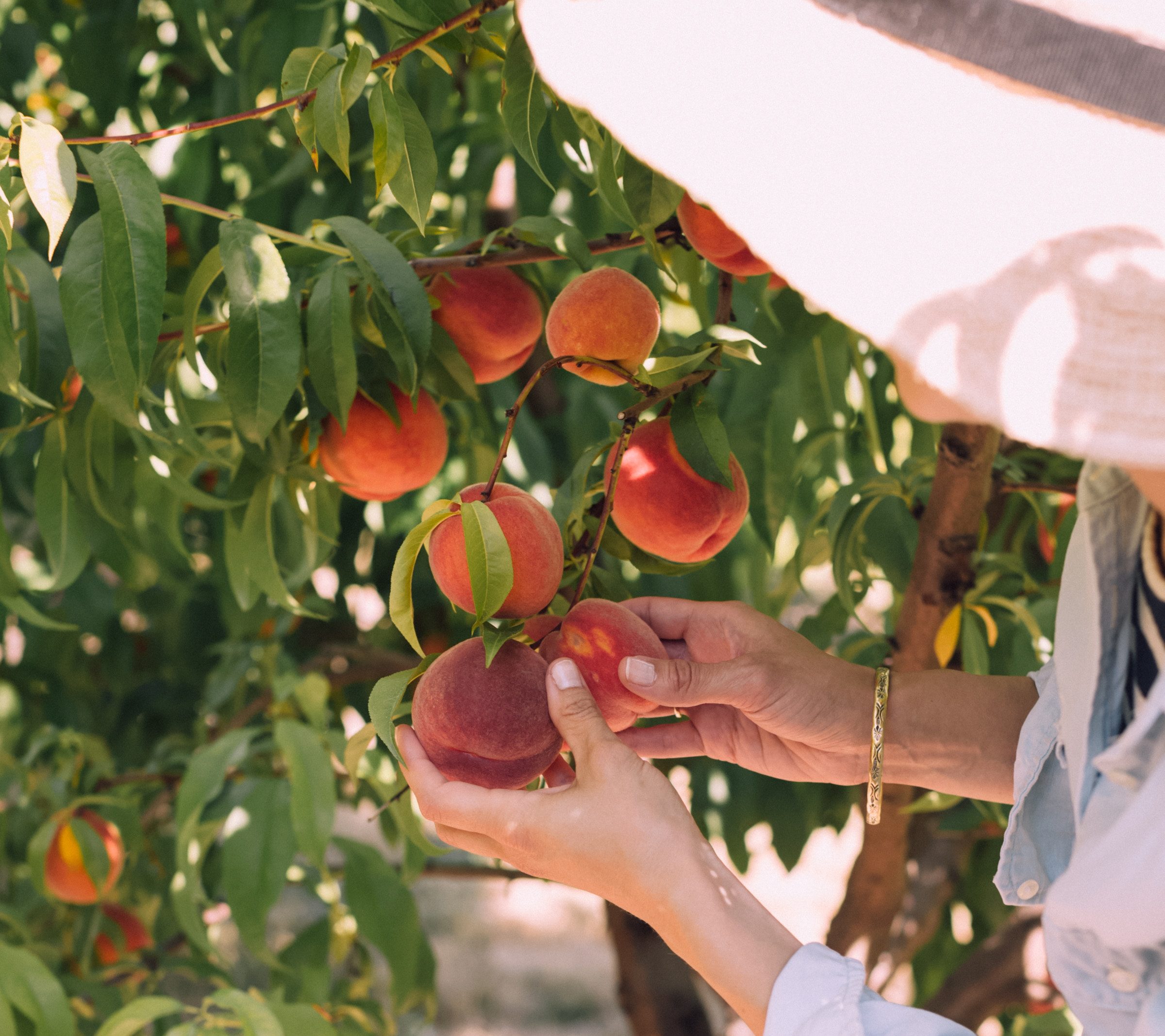 9 Health Benefits of Peaches You'll Be Glad to Know