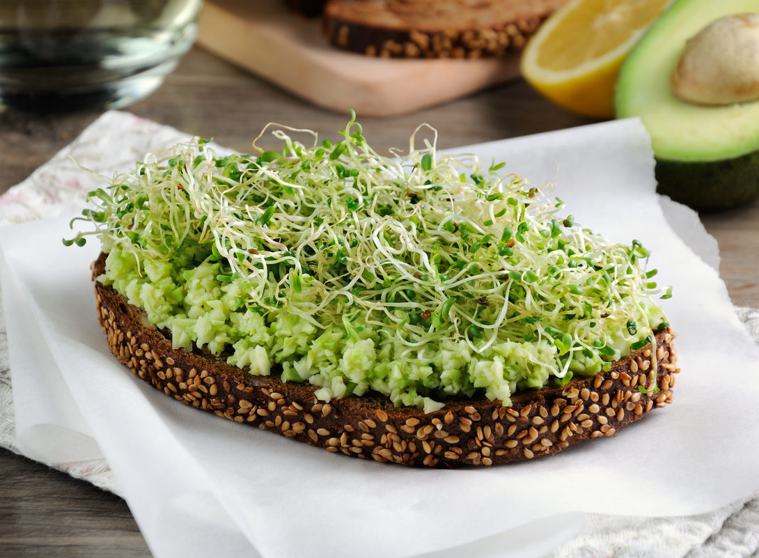 Avocado toast with broccoli sprouts