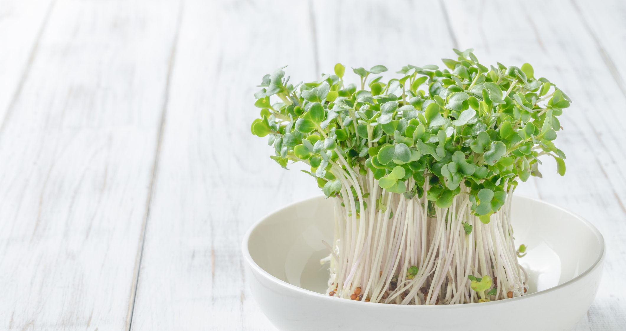 The Health Benefits of Broccoli Sprouts